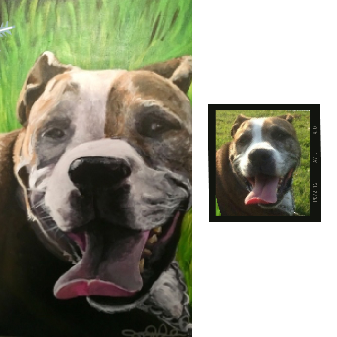 Pit Bull Portrait