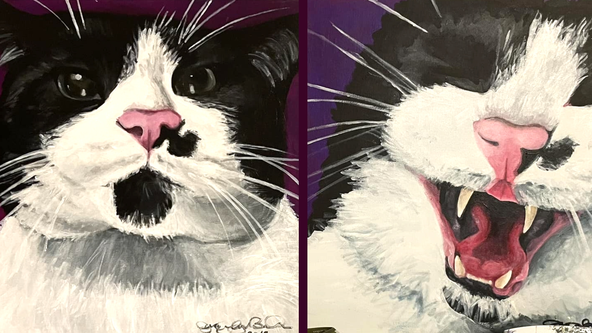 Harvey alternate view